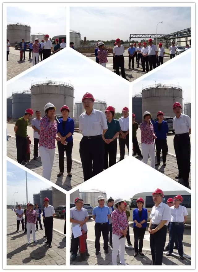 烈歡迎唐山市市委書記焦彥龍一行來我司調研指導 烈歡迎唐山市市委書記焦彥龍一行來我司調研指導