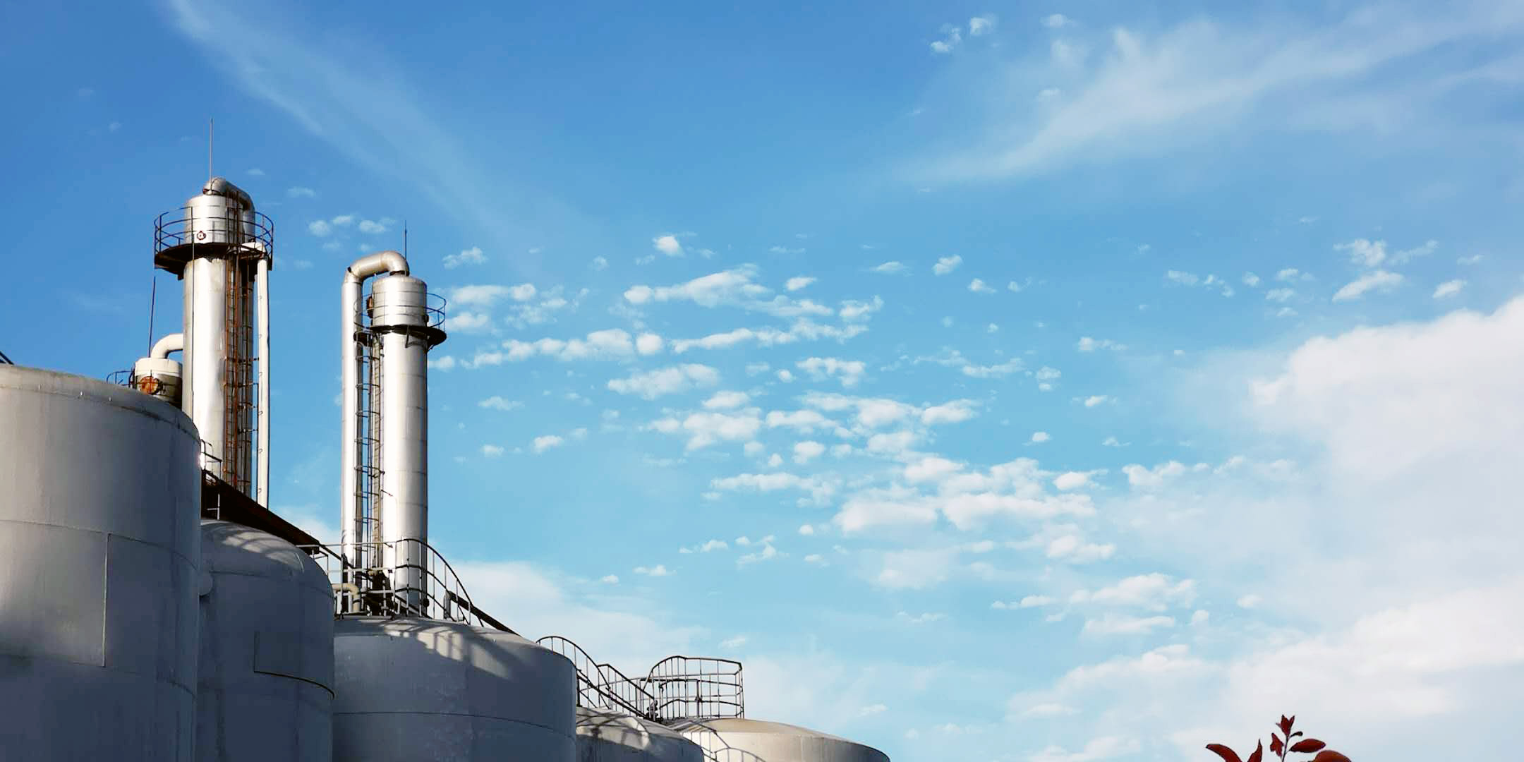 欽州港經濟開發(fā)區(qū)管理委員會領導來司調研 欽州港經濟開發(fā)區(qū)管理委員會領導來司調研